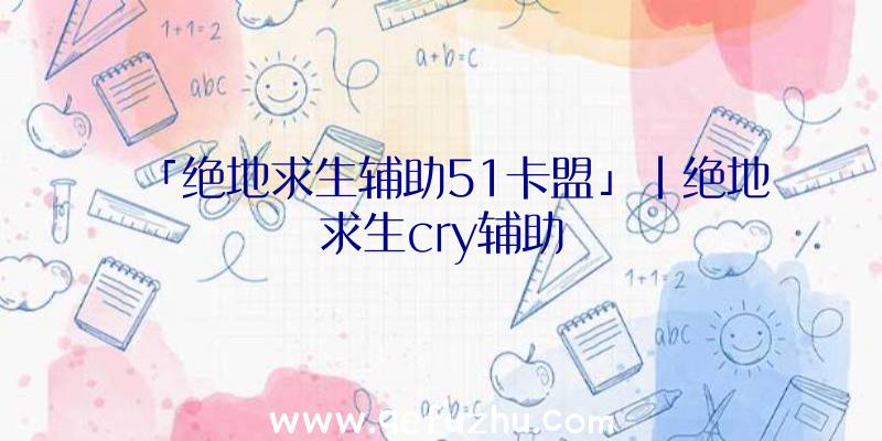 「绝地求生辅助51卡盟」|绝地求生cry辅助